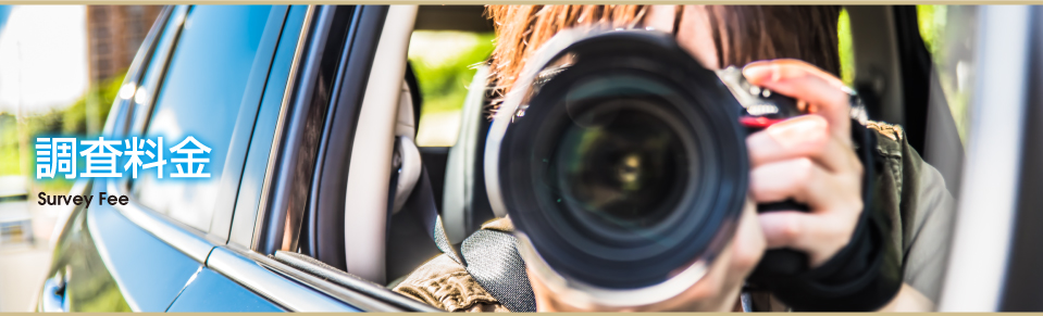 調査料金